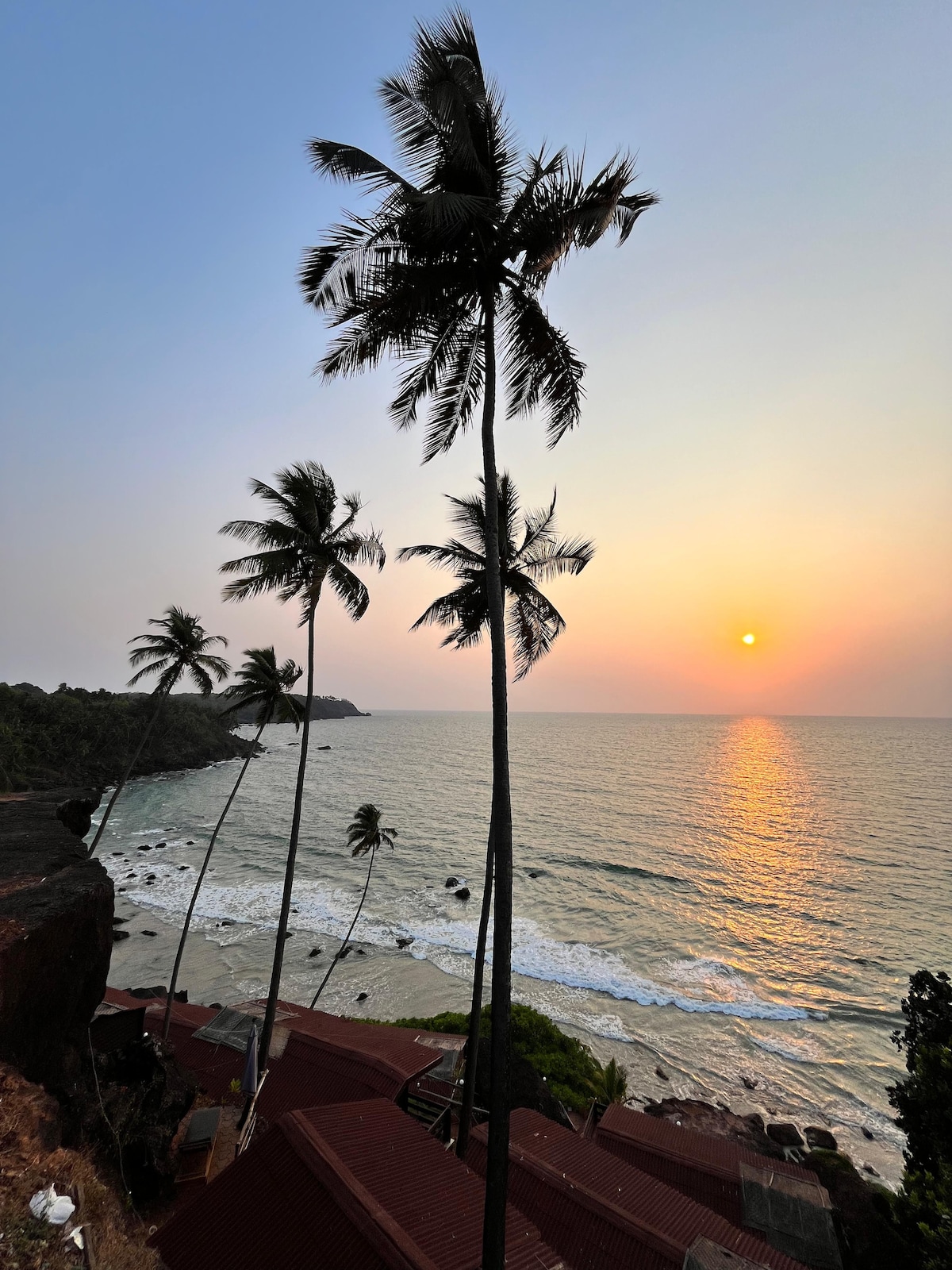 Tall palm trees gently sway along the coastline, framing a serene sunset over the ocean. The sun casts warm hues across the water, reflecting off gentle waves, while the shore is lined with lush greenery and rooftops peeking out from below.