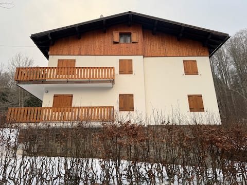 Beautiful Chalet Le Regine