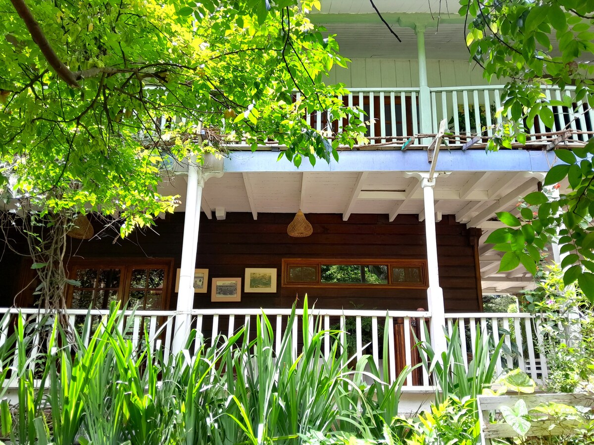 The exterior of a traditional house is framed by lush greenery and vibrant foliage. A covered porch with white railings provides a shaded area, while large wooden windows reflect natural light. Artwork is displayed on the exterior wall, enhancing the inviting atmosphere.