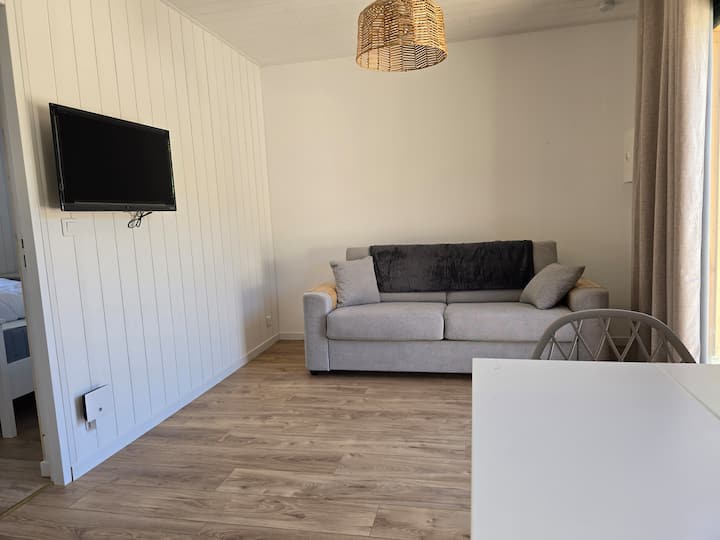 Gîte En Bois Indépendant - Martillac