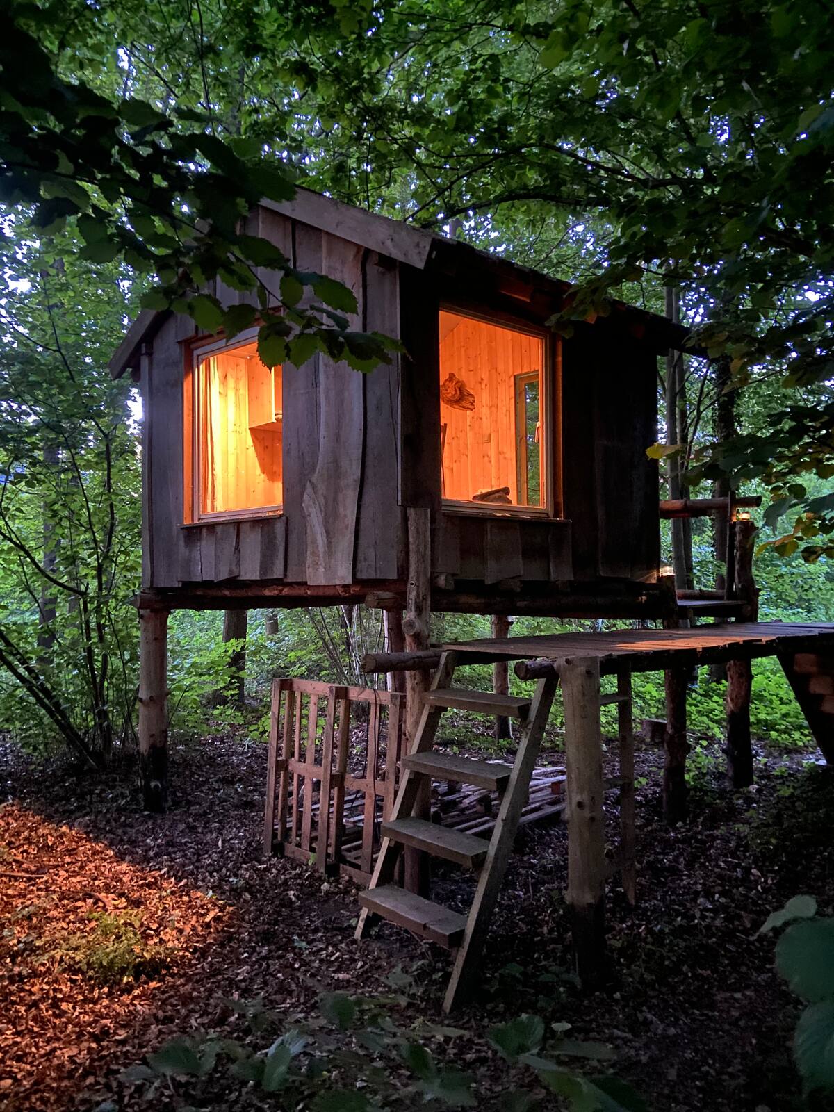 A wooden treehouse is perched among green foliage, illuminated softly from within. Sturdy external steps lead to the entrance, with a small porch that invites relaxation. The surrounding nature provides a serene backdrop, enhancing the sense of seclusion and tranquility.