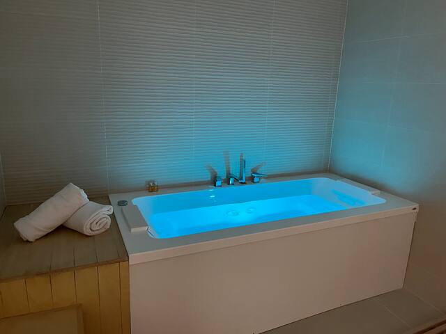 Townhouse 8p, A/C, Spa & Garden, Parking, Lyon 3 gallery image 4