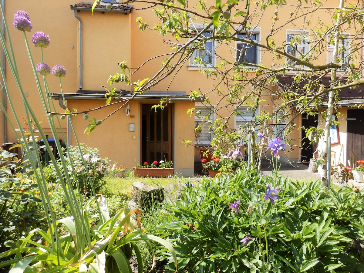 A vibrant garden is displayed in front of a charming yellow building. Various plants and flowers, including purple blooms, surround the entrance, enhancing the natural ambiance. The entrance features a wooden door, framed by greenery, creating an inviting view of the property.