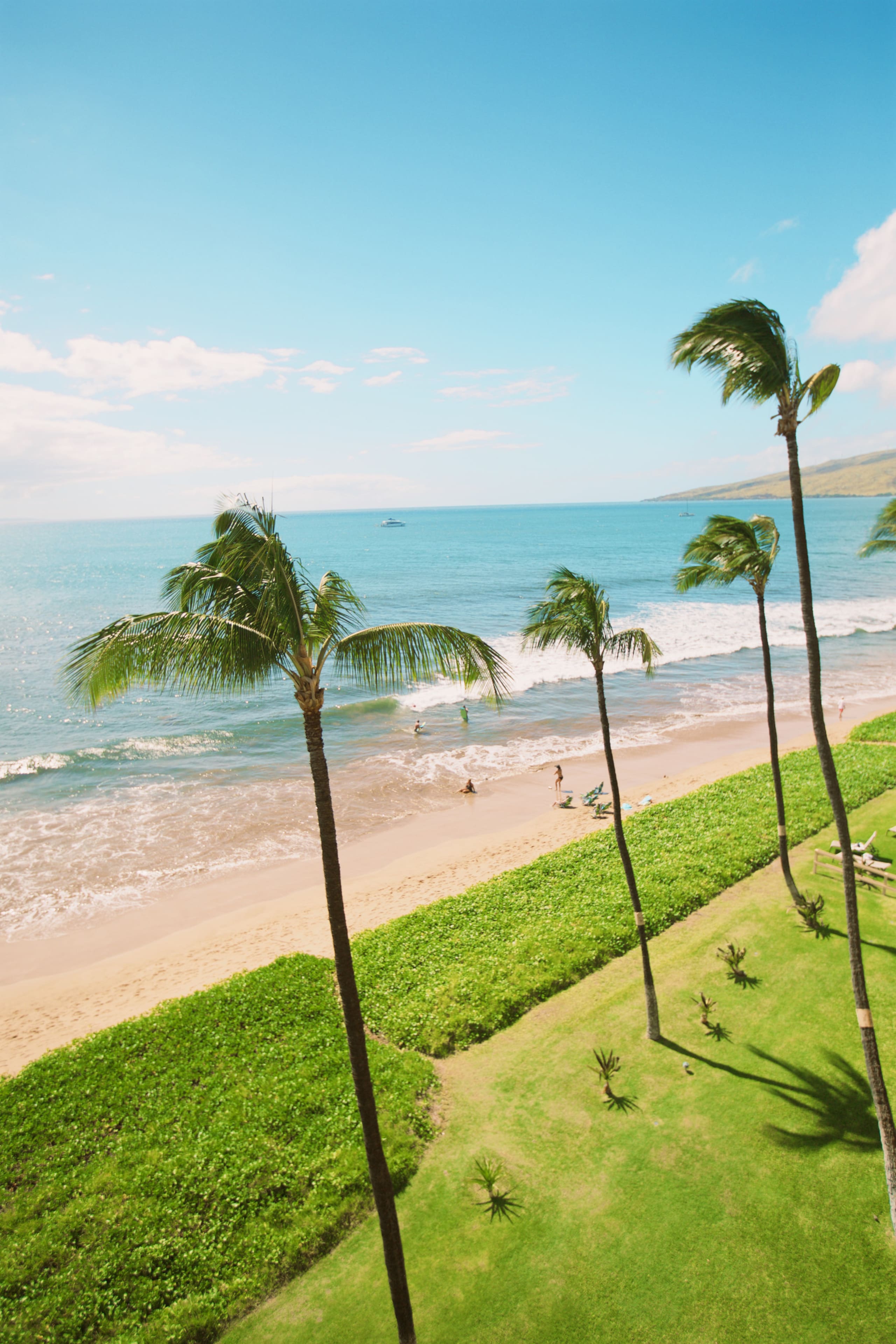 Condo in Kihei · ★4.93 · 1 bedroom · 2 beds · 1 bath - Image 30