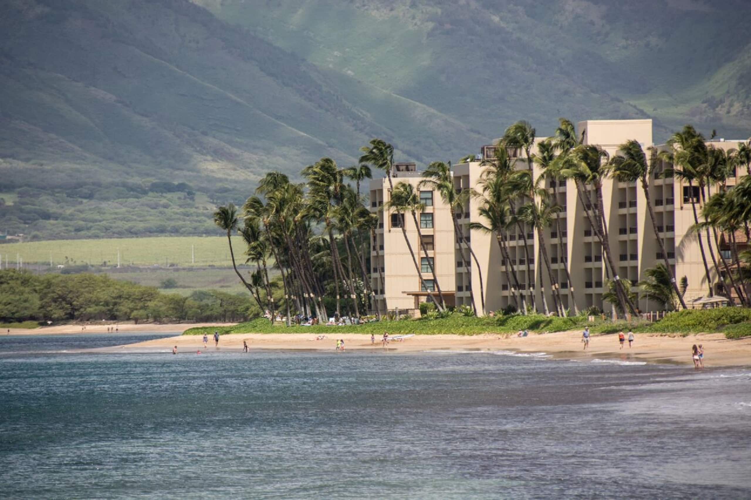 Condo in Kihei · ★4.93 · 1 bedroom · 2 beds · 1 bath - Image 24