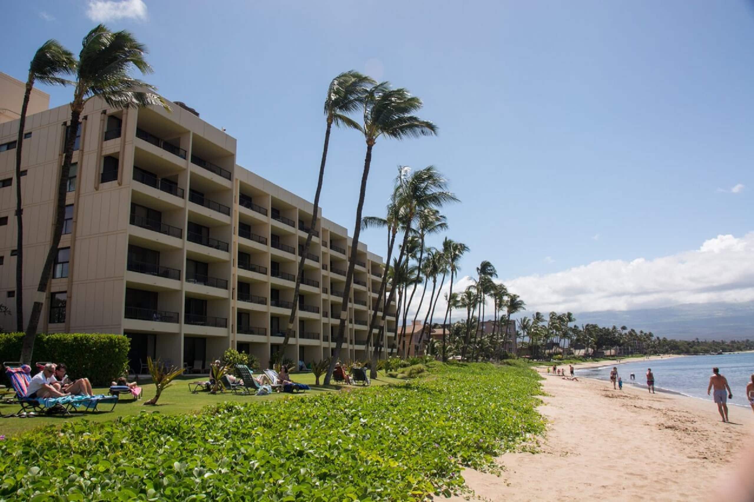 Condo in Kihei · ★4.93 · 1 bedroom · 2 beds · 1 bath - Image 25