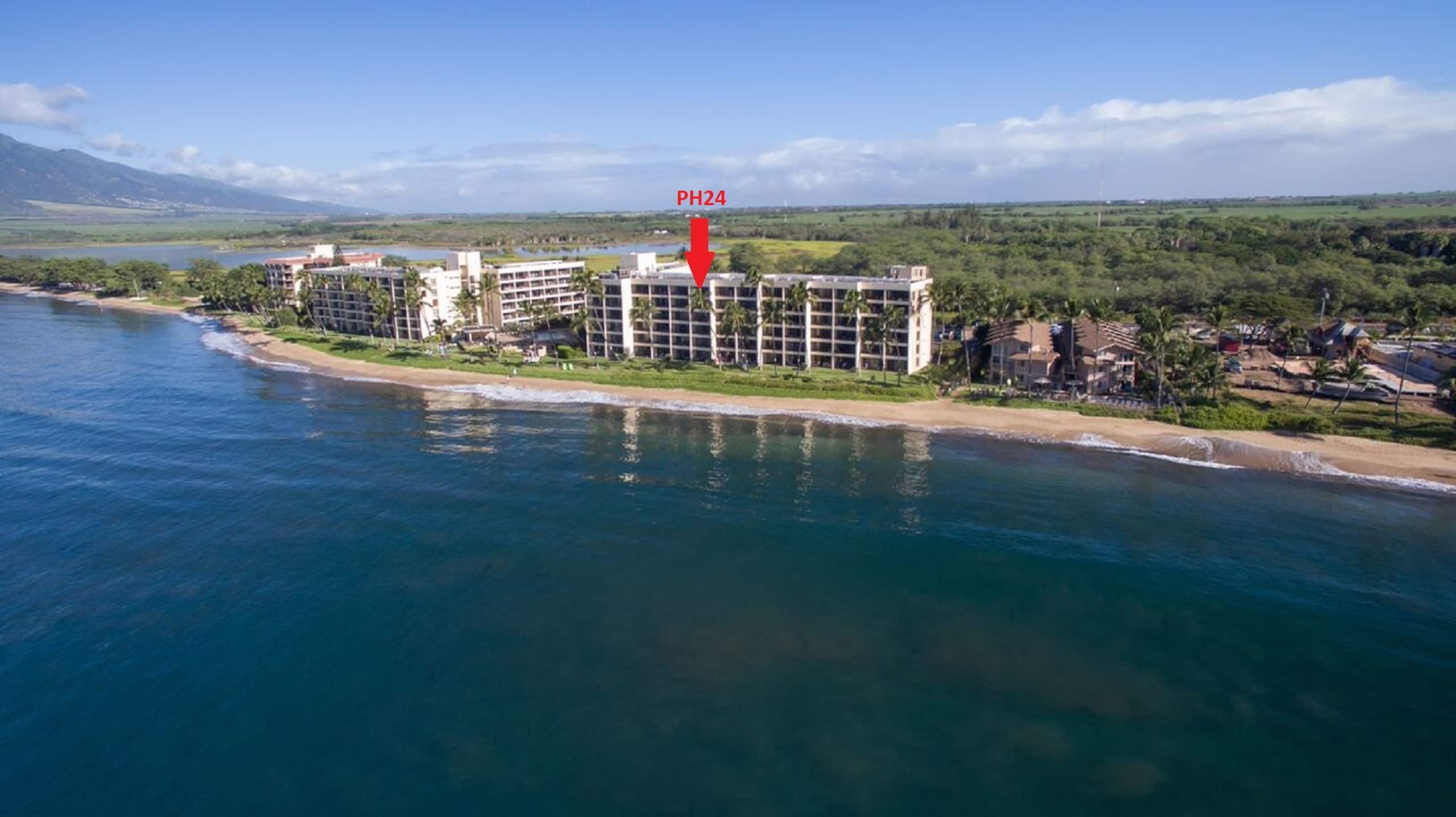 Condo in Kihei · ★4.93 · 1 bedroom · 2 beds · 1 bath - Image 23