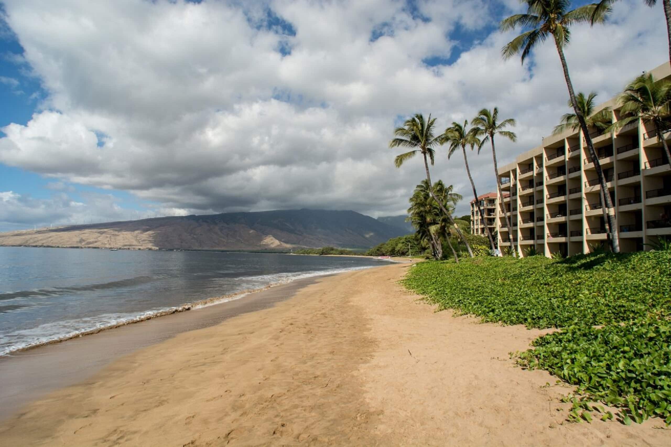 Condo in Kihei · ★4.93 · 1 bedroom · 2 beds · 1 bath - Image 18