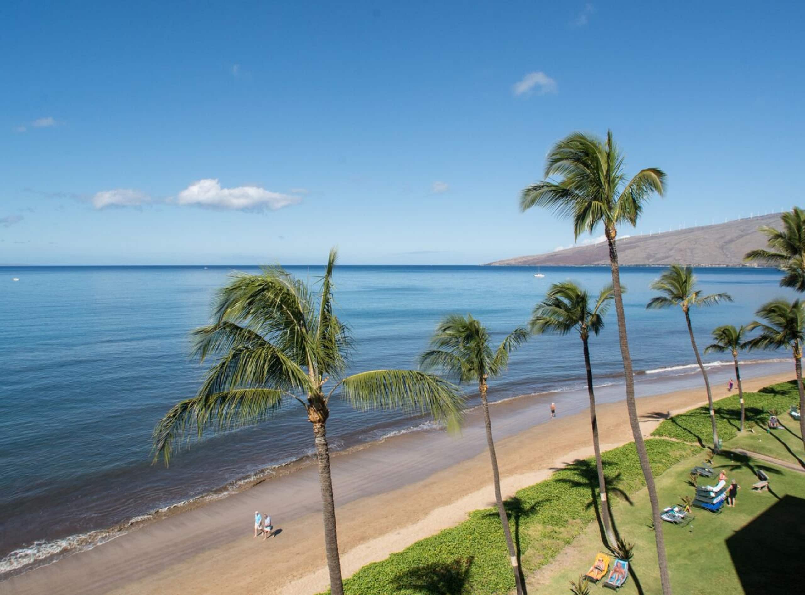 Condo in Kihei · ★4.93 · 1 bedroom · 2 beds · 1 bath - Image 19