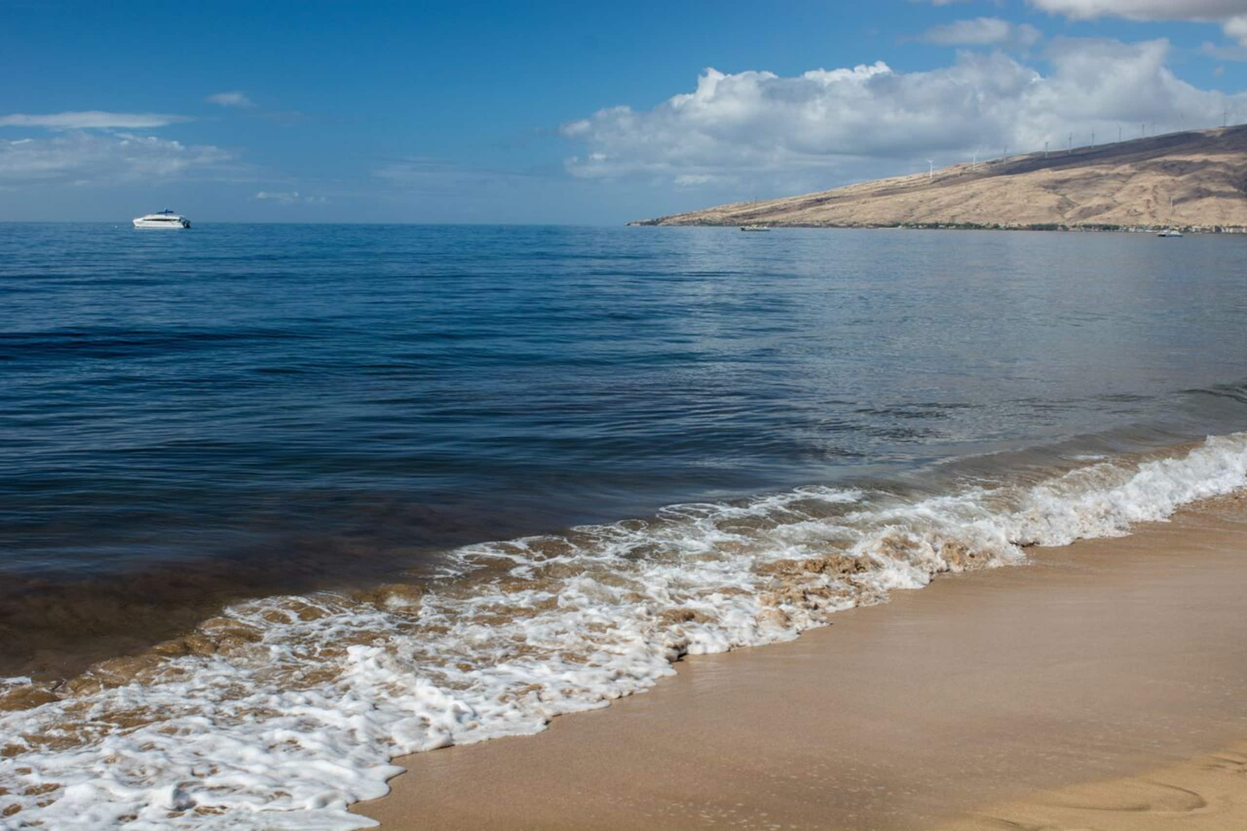 Condo in Kihei · ★4.93 · 1 bedroom · 2 beds · 1 bath - Image 31