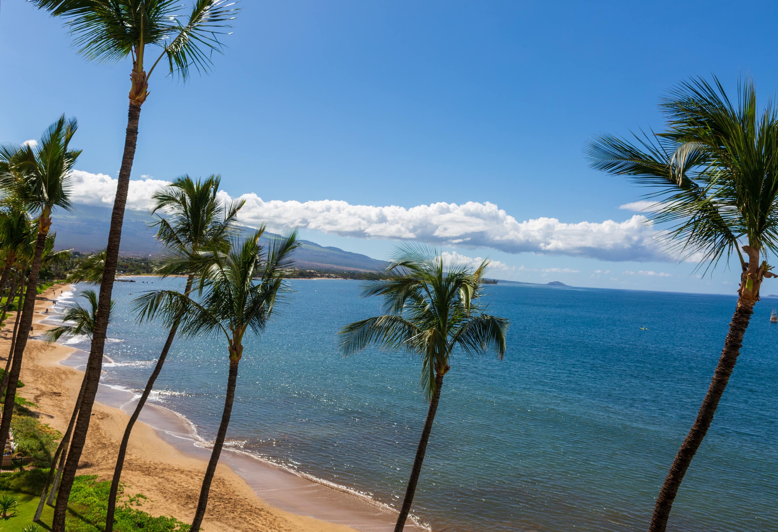 Condo in Kihei · ★4.93 · 1 bedroom · 2 beds · 1 bath - Image 20