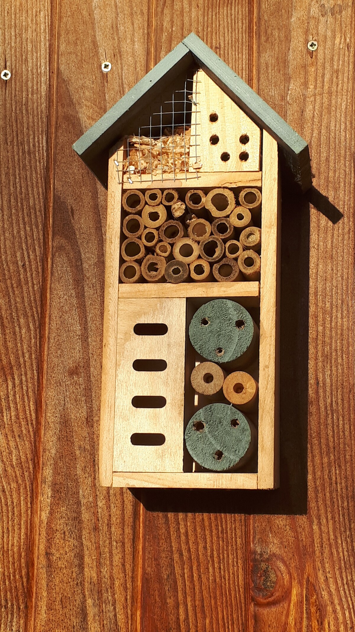 A wooden insect hotel is mounted against a textured wooden wall. Various compartments are visible, filled with natural materials like hollow stems and wood discs, creating a habitat for beneficial insects. The structure features a triangular roof and a mesh-covered section at the top.