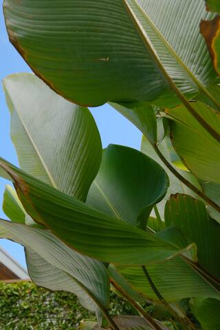 A Shore Thing – 5 minute walk to Sunrise Beach gallery image 3