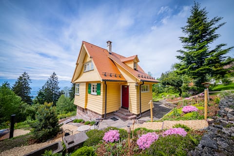 Top performing Airbnb: Sonnenhäusle) - New. Nature. View. Sauna. in Sasbachwalden