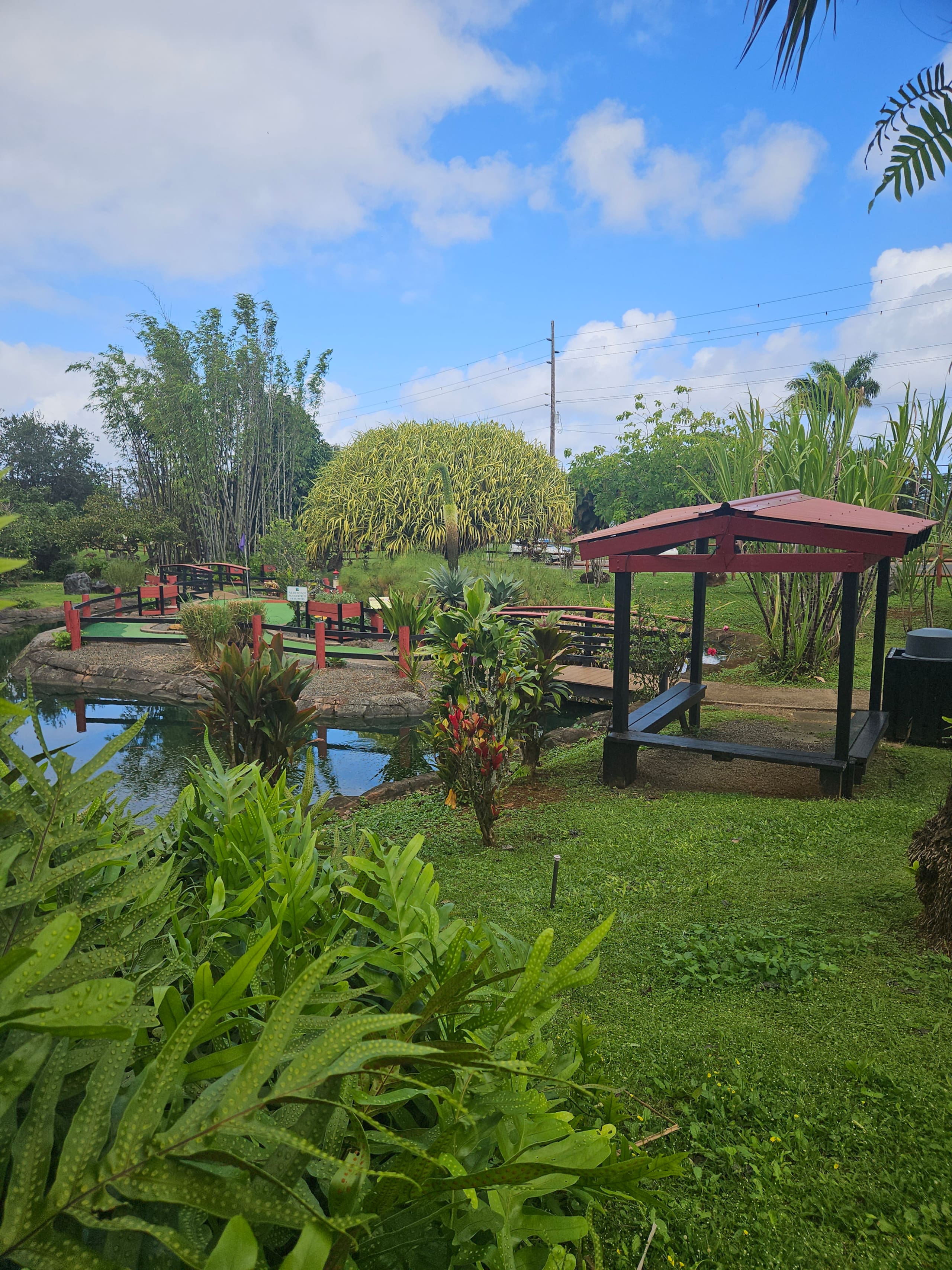 Home in Princeville · ★4.99 · 2 bedrooms · 3 beds · 2 shared baths - Image 89
