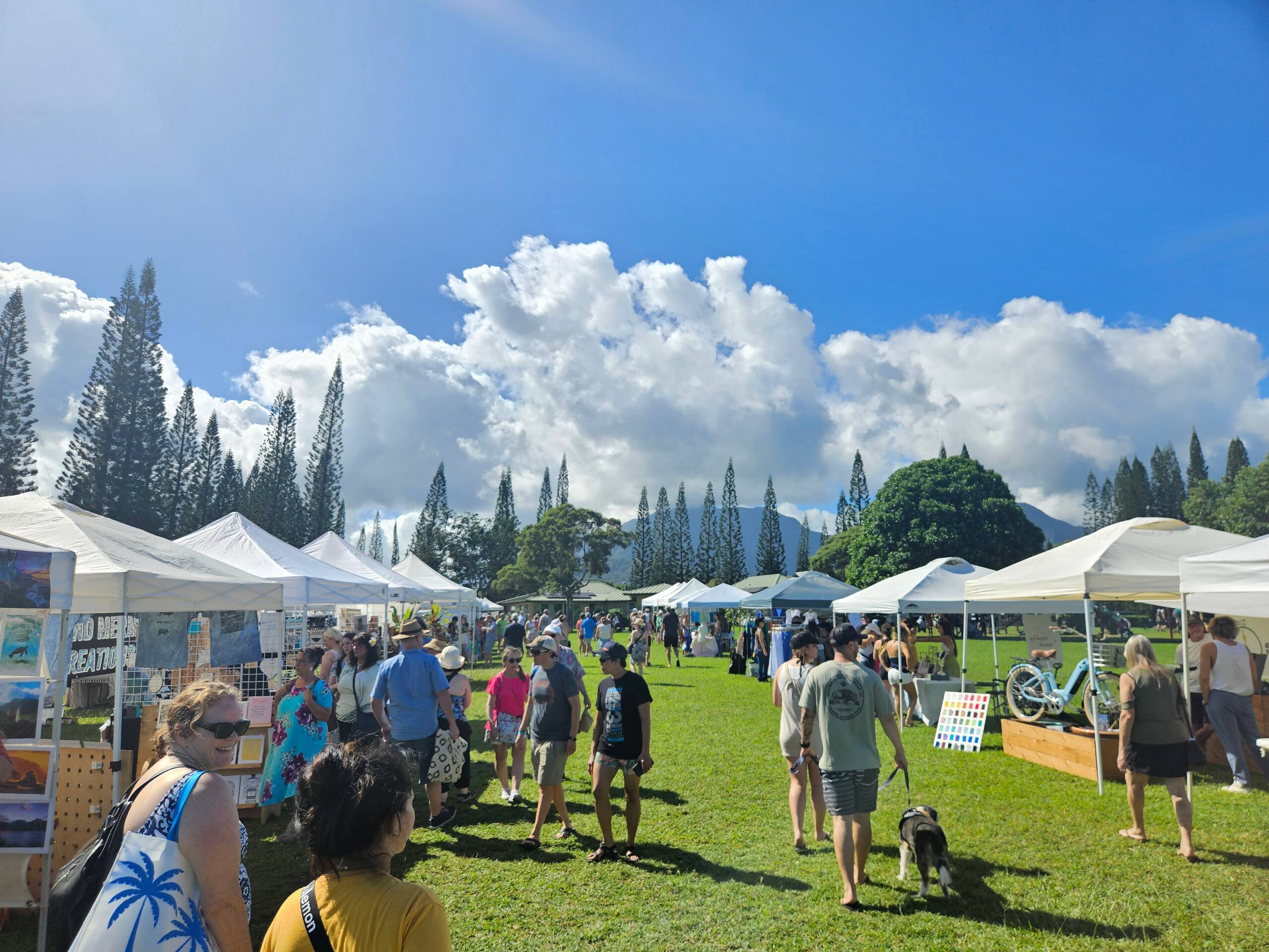 Home in Princeville · ★4.99 · 2 bedrooms · 3 beds · 2 shared baths - Image 88