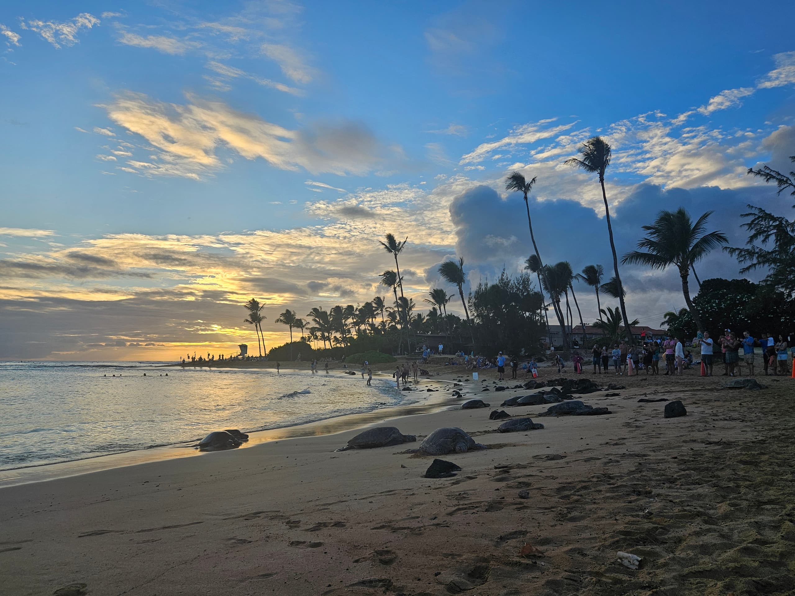 Home in Princeville · ★4.99 · 2 bedrooms · 3 beds · 2 shared baths - Image 81