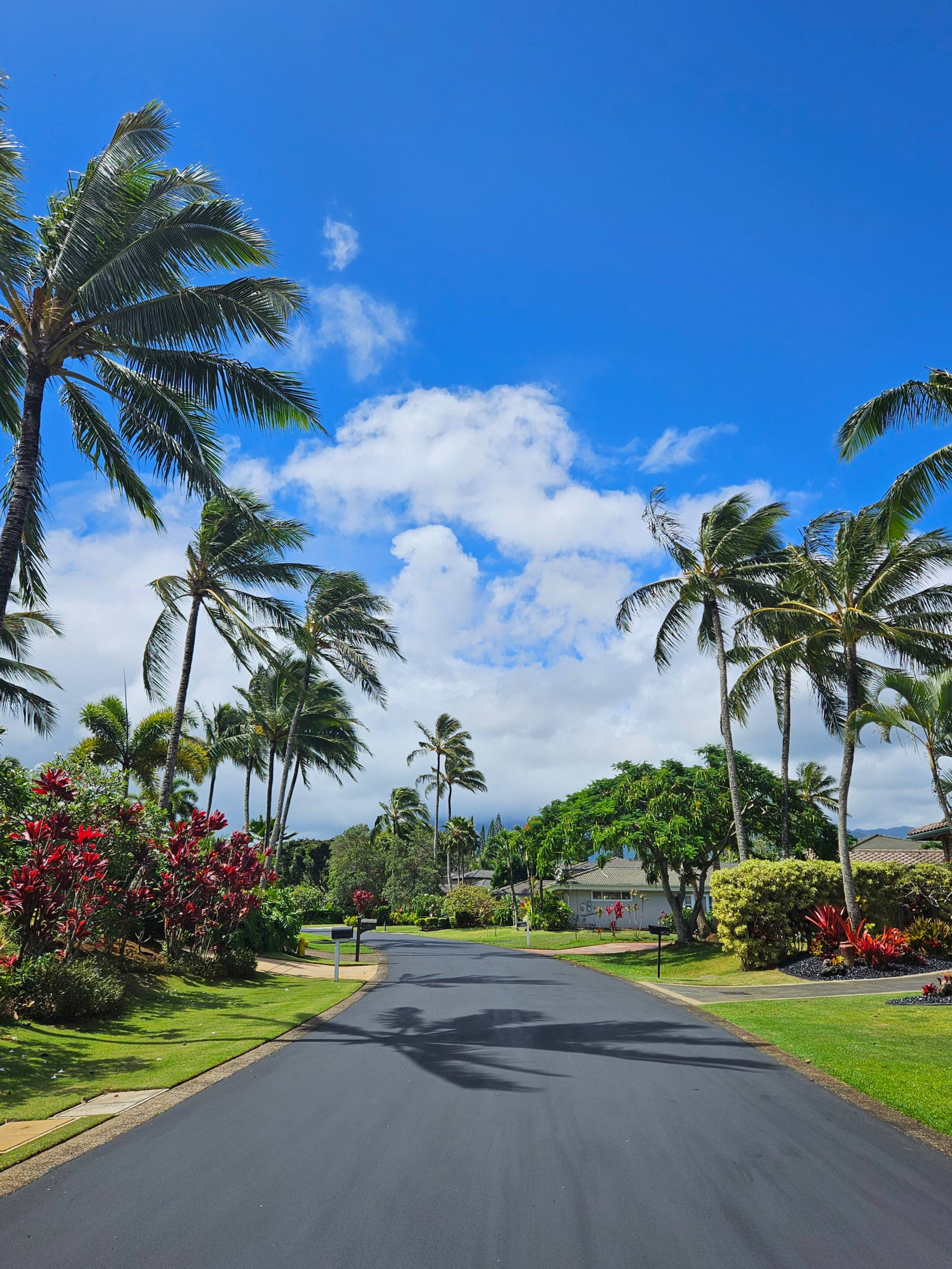 Home in Princeville · ★4.99 · 2 bedrooms · 3 beds · 2 shared baths - Image 86