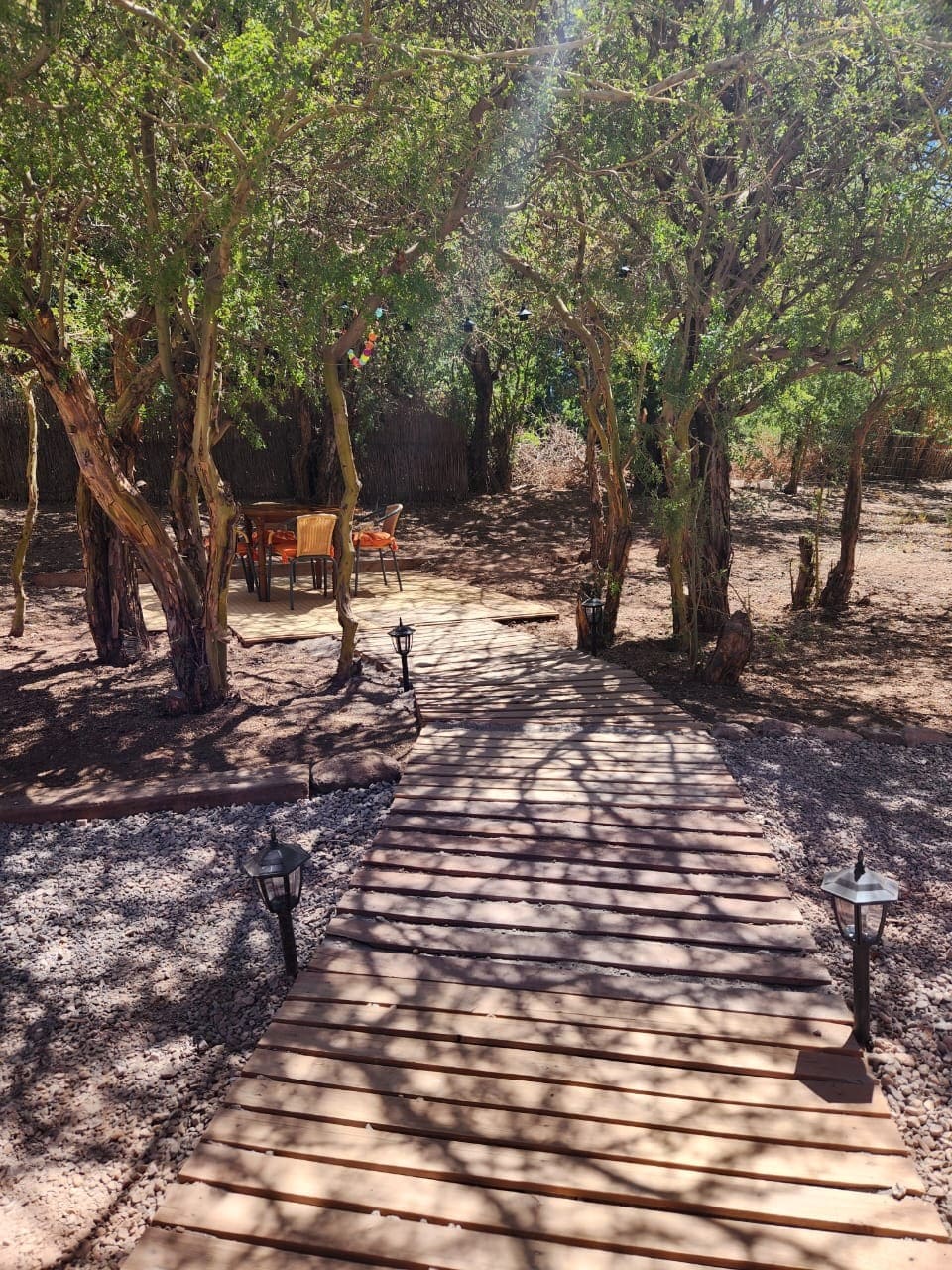 A wooden pathway leads through a grove of trees, guiding towards a designated outdoor dining area. The space is adorned with several chairs and a table, surrounded by various natural elements, with soft lighting offered by lanterns along the path.