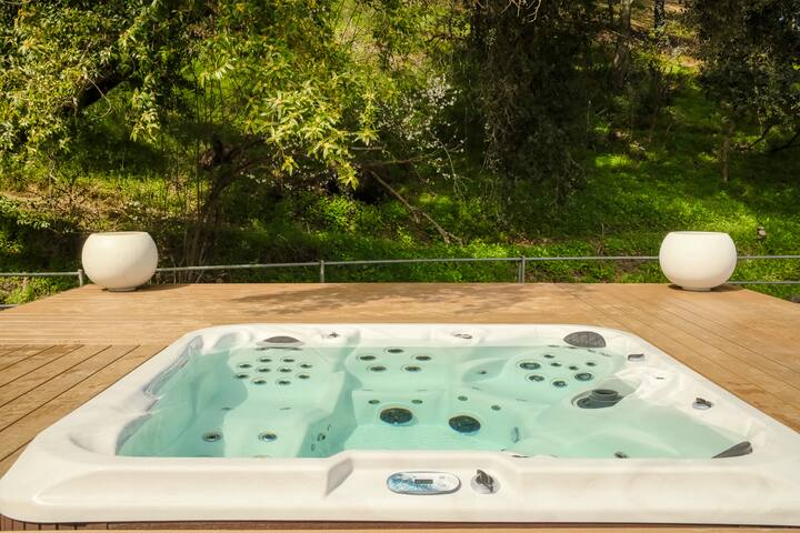 A Zen Retreat like in the heart of Silicon Valley gallery image 3