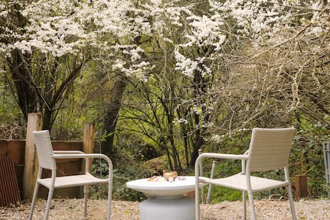 The MOST Beautiful short /long term rental