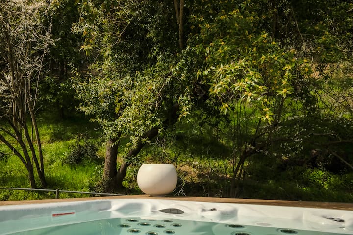 A Zen Retreat like in the heart of Silicon Valley