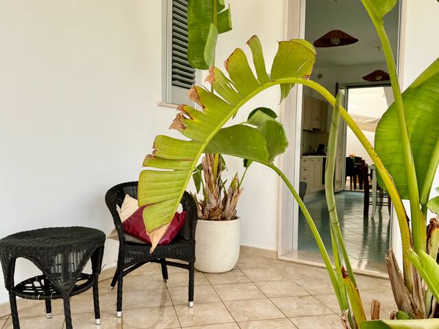 Casa fronte mare con giardino-MareaStaysCollection gallery image 4