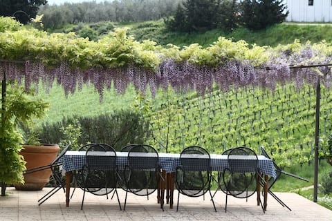 Apartment in Chianti