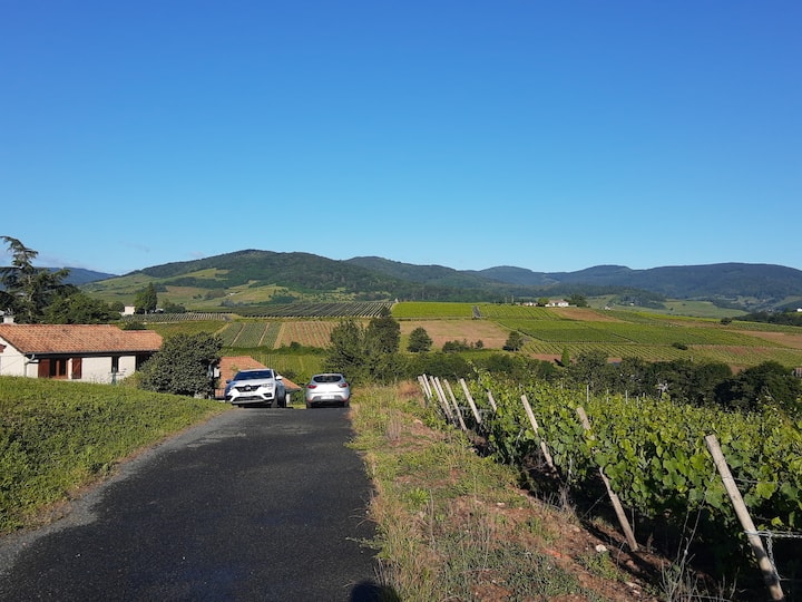 Au Calme Face Aux Vignes. - Fleurie