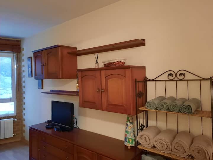 Estudio Pto San Isidro León-asturias
C/toneo18- 3° - Puebla de Lillo