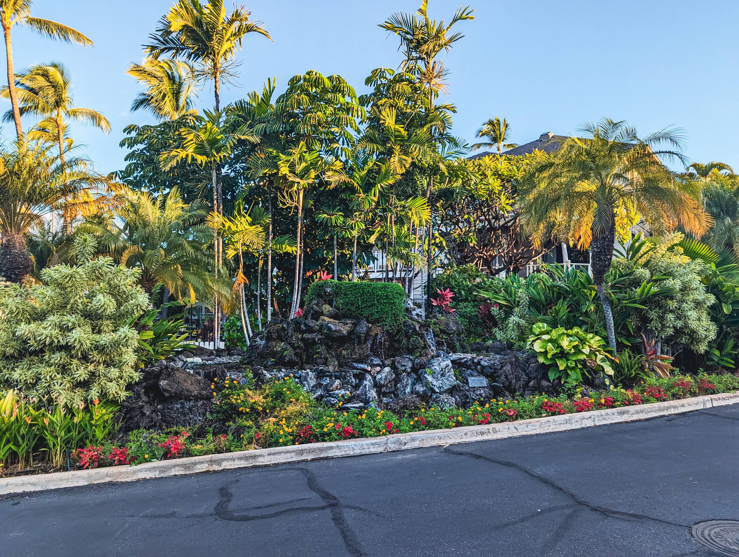 Amazing location! Chic Maui Getaway (ground floor) - Image 29