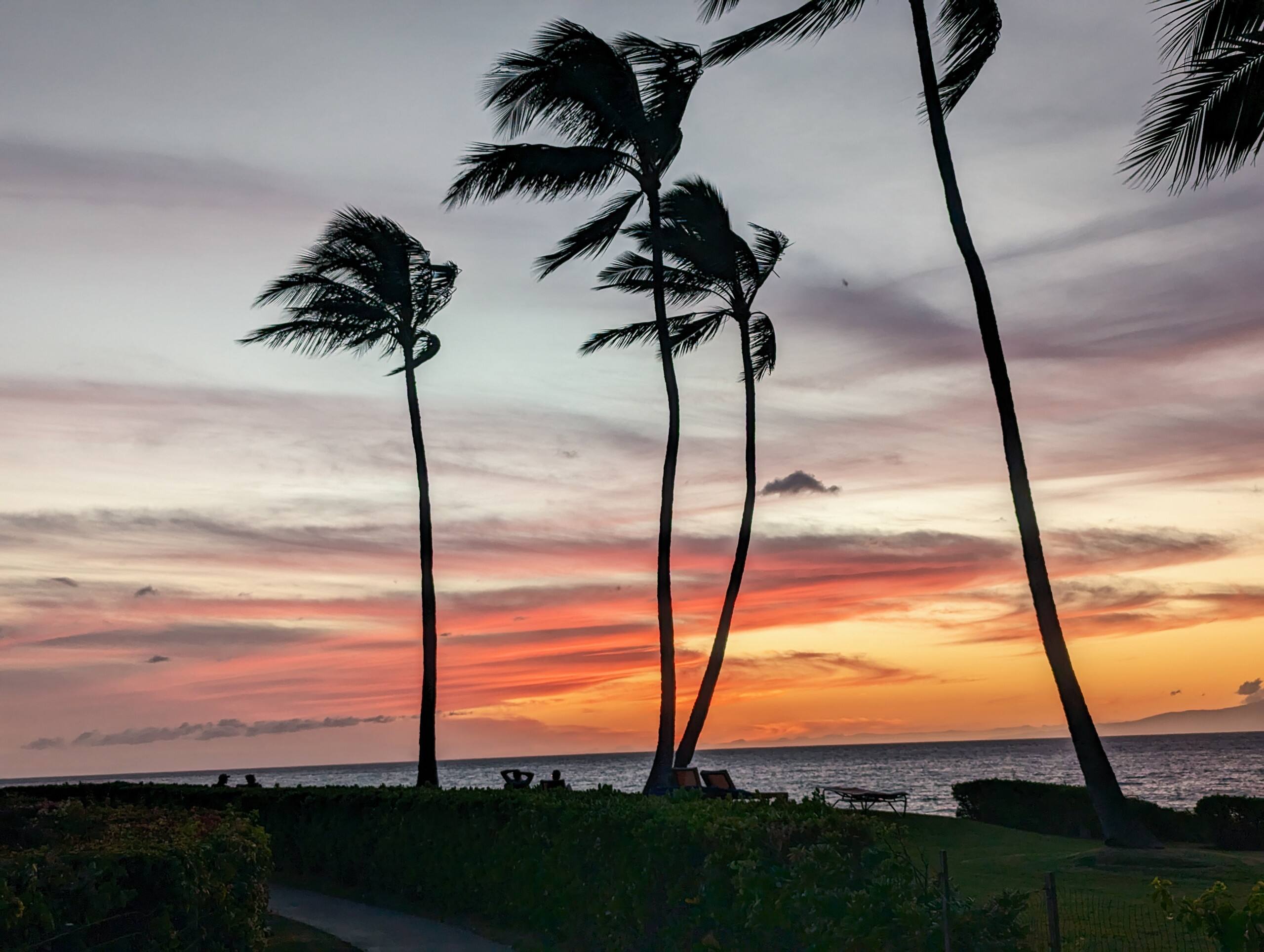 Amazing location! Chic Maui Getaway (ground floor) - Image 27