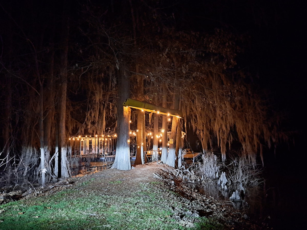 A serene waterfront area is illuminated by string lights, creating a warm ambiance among towering trees draped in moss. The grassy pathway leads toward the dock, which is visible in the background, enhancing the peaceful atmosphere of the setting.