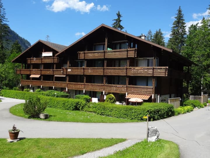 Resort Studio|balcony View Nextgondola+bbq+parking - Frutigen