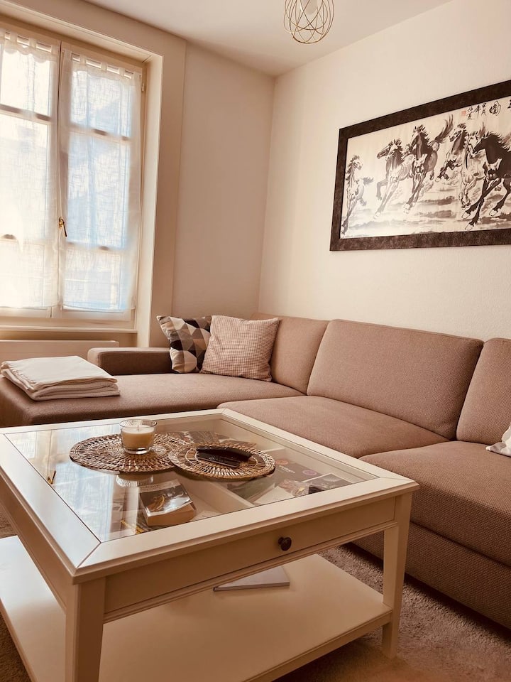 Bel Appartement Au Centre Ville - Geneva