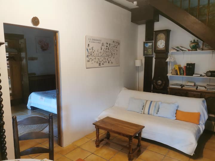 Appartement Familial Charme&confort Bâtisse Du Xvi - Castels