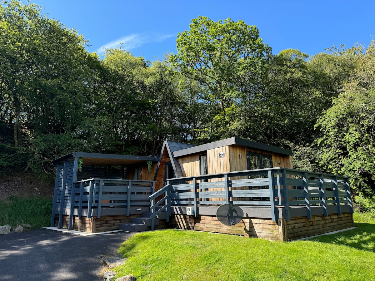 A studio lodge is surrounded by lush greenery, featuring a wooden exterior with a sloped roof. A spacious deck with railings extends from the front, providing an inviting entrance. Clear skies are visible above, enhancing the lodge's serene environment.