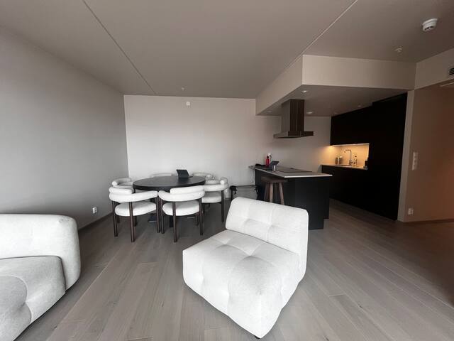 Chic apartment in Bjørvika – Oslo center gallery image 4