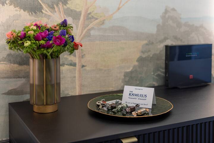 The Romulus gallery image 2