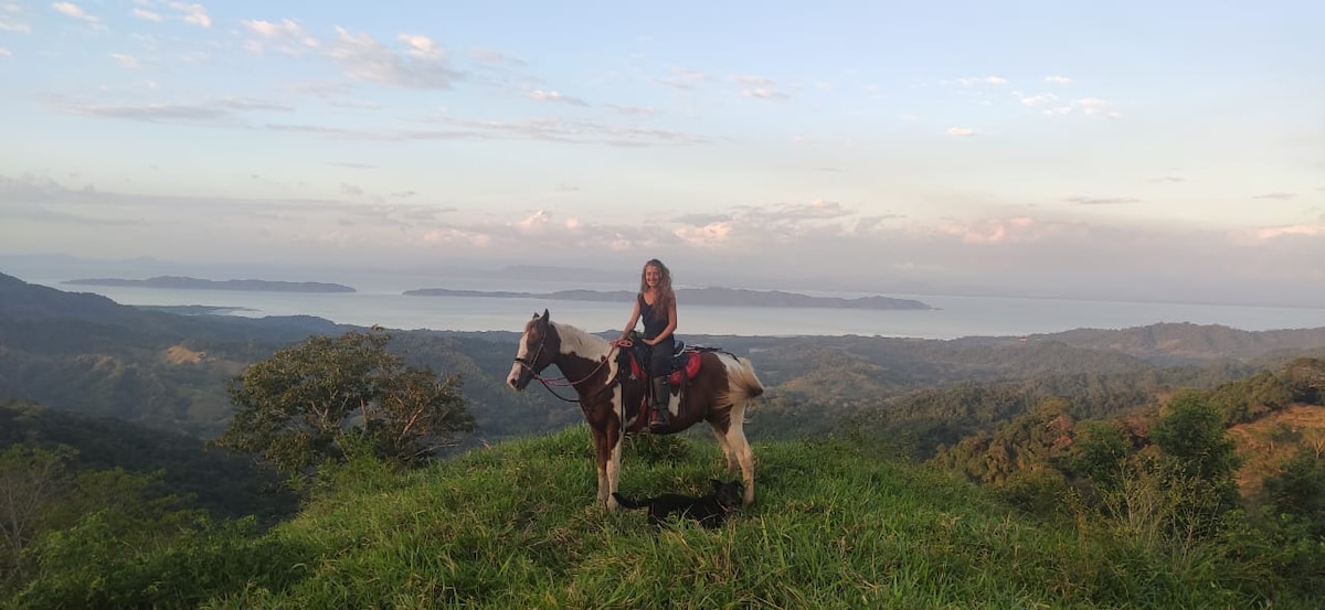 A rider sits atop a horse on a grassy hill, overlooking a panoramic view of rolling hills and the Gulf of Nicoya in the distance. The sky is softly lit with a blend of blues and whites, indicating a serene atmosphere.