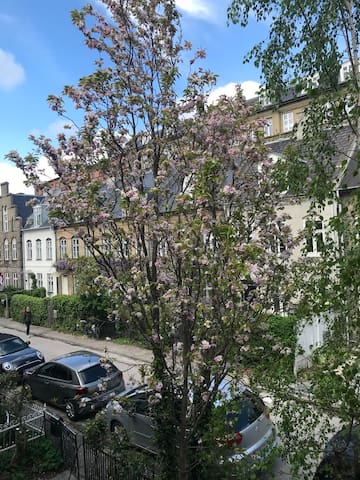 Historic Copenhagen town house