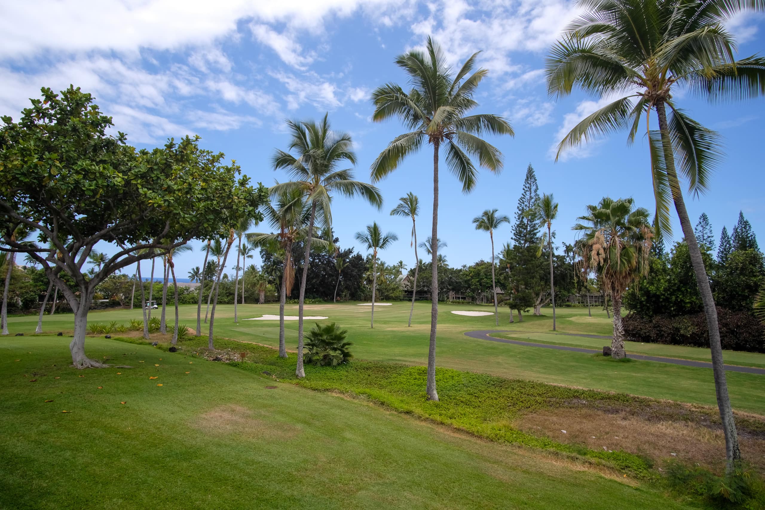 Condo in Kailua-Kona · ★4.81 · 2 bedrooms · 2 beds · 2 baths - Image 38