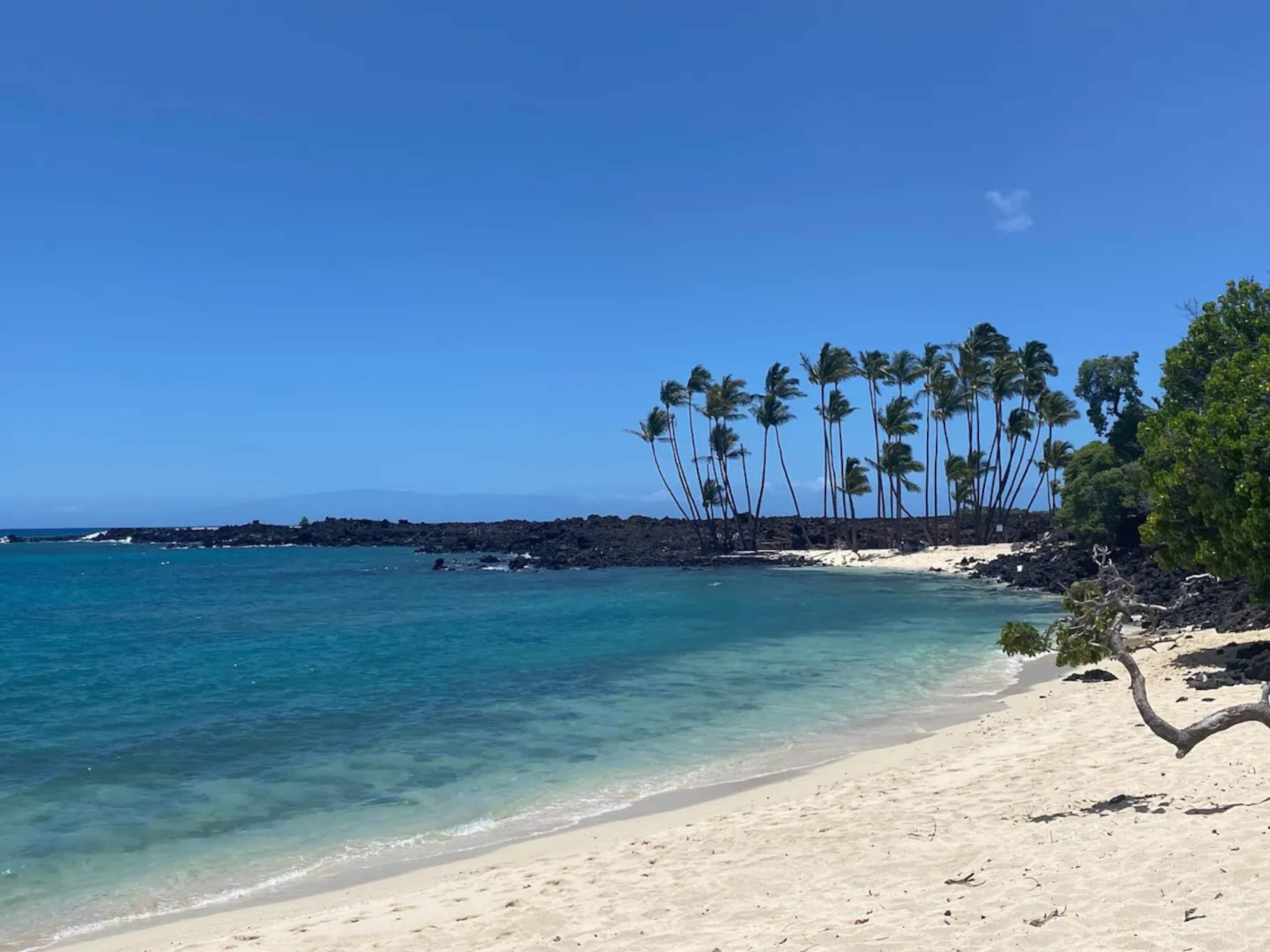 Condo in Kailua-Kona · ★4.81 · 2 bedrooms · 2 beds · 2 baths - Image 54