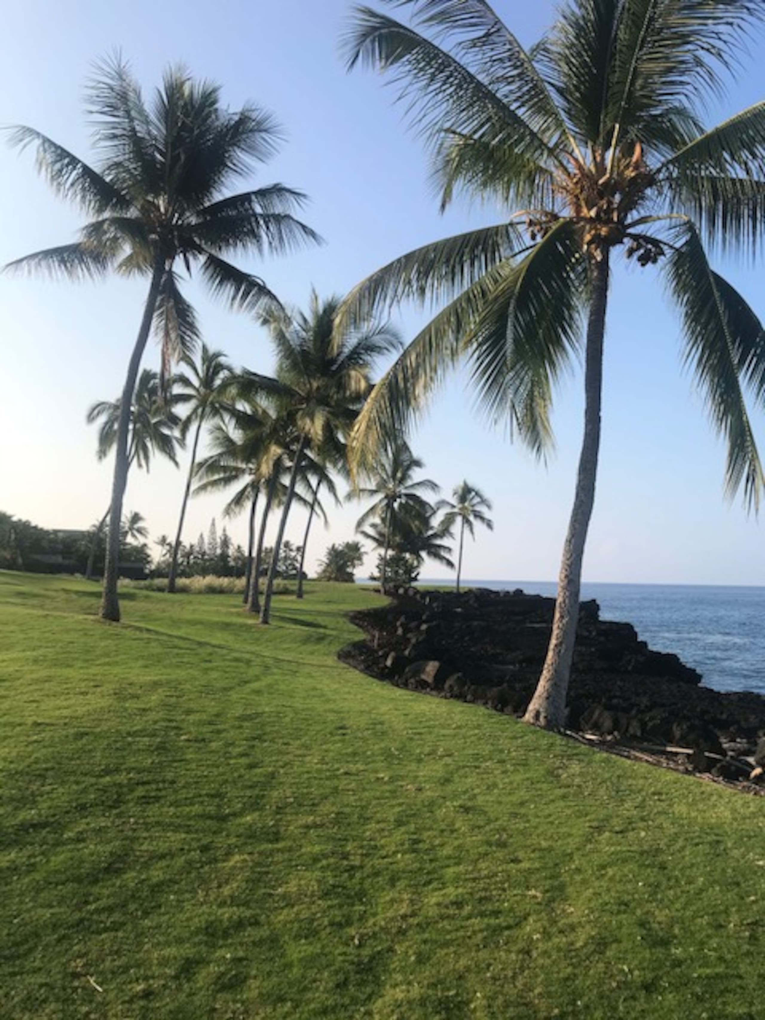 Condo in Kailua-Kona · ★4.81 · 2 bedrooms · 2 beds · 2 baths - Image 55