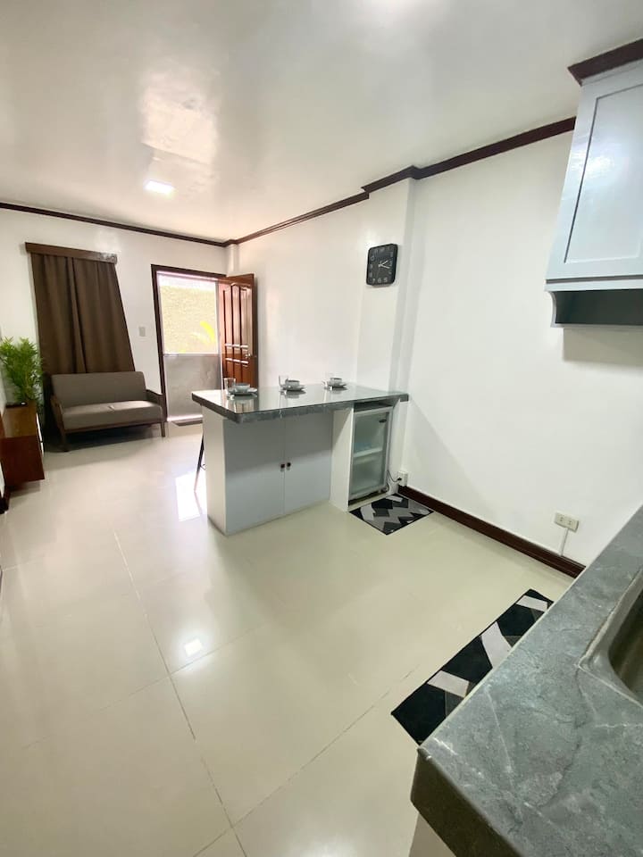 Unit 111 M Lolin Apartelle (1 Bedroom) - Dipólog