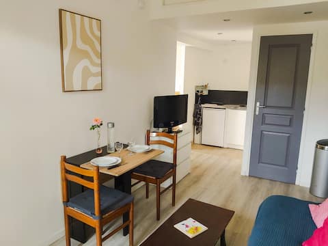 Successful Airbnb property: Quiet studio near Paris in Le Blanc Mesnil