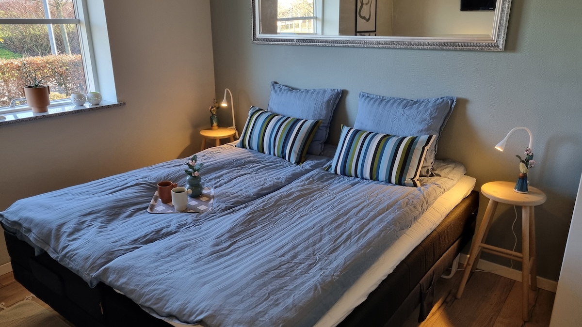 A spacious sleeping area features a comfortable bed with neatly arranged pillows adorned with stripes. Soft bedside tables house tasteful lamps and small decorative plants, while natural light enters through a window beside the bed, creating a calming environment.