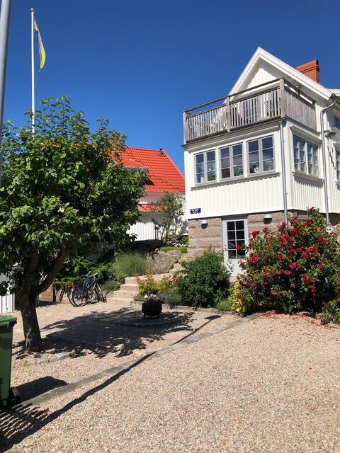 Villa Vineyard