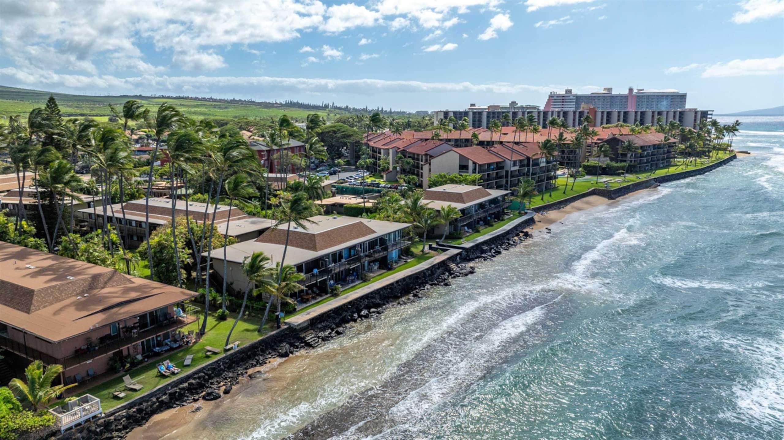 Condo in Lahaina · ★4.87 · 2 bedrooms · 3 beds · 1 bath - Image 48