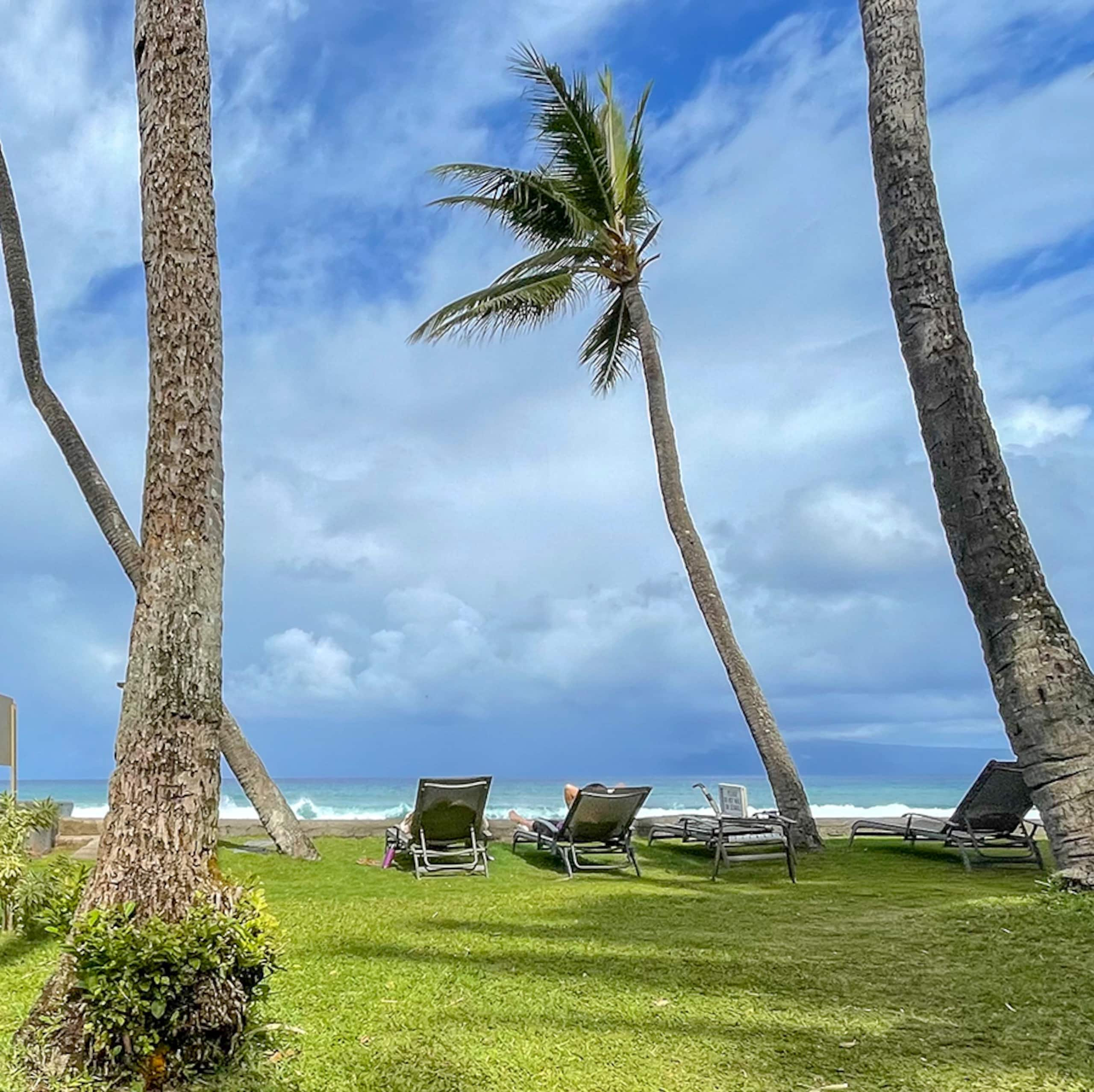 Condo in Lahaina · ★4.87 · 2 bedrooms · 3 beds · 1 bath - Image 53